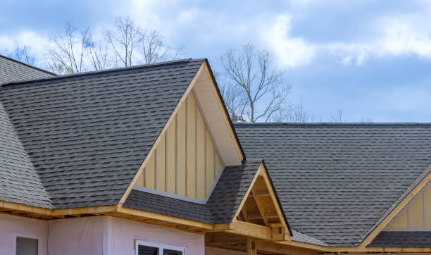 Best 4 Ply Roofing  in Sullivan City, TX