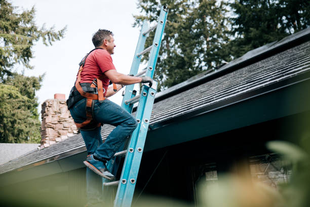 Best Roof Coating and Sealing  in Sullivan City, TX