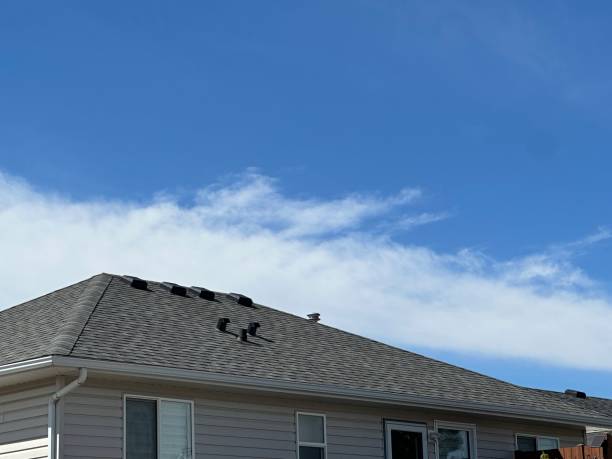 Best Sheet Metal Roofing  in Sullivan City, TX